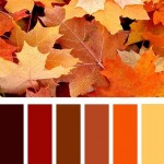 Fall colors that correspond to the falling leaves 