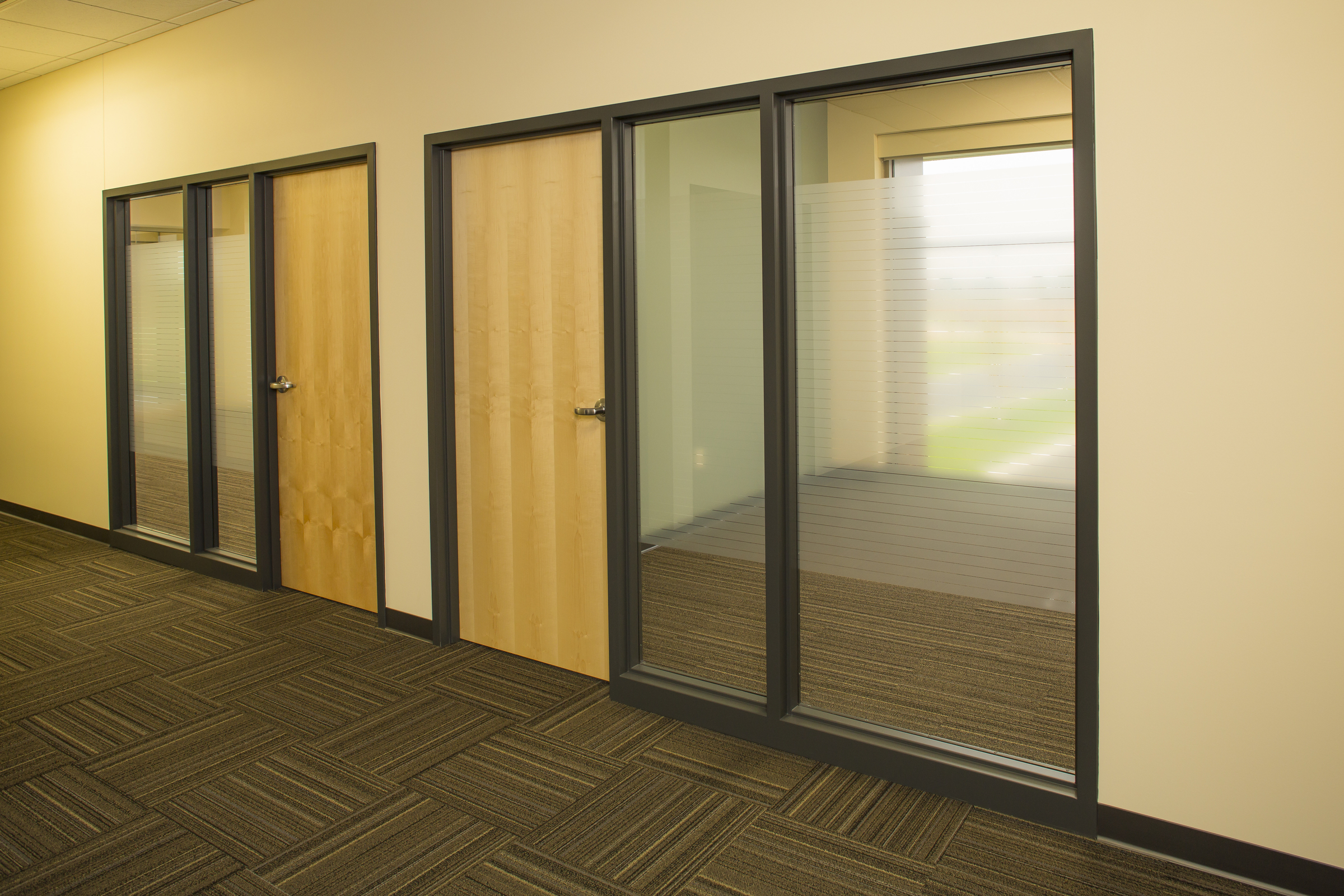Case Study Image