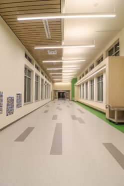 Case Study Image