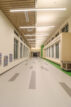 Case Study Image