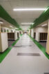 Case Study Image
