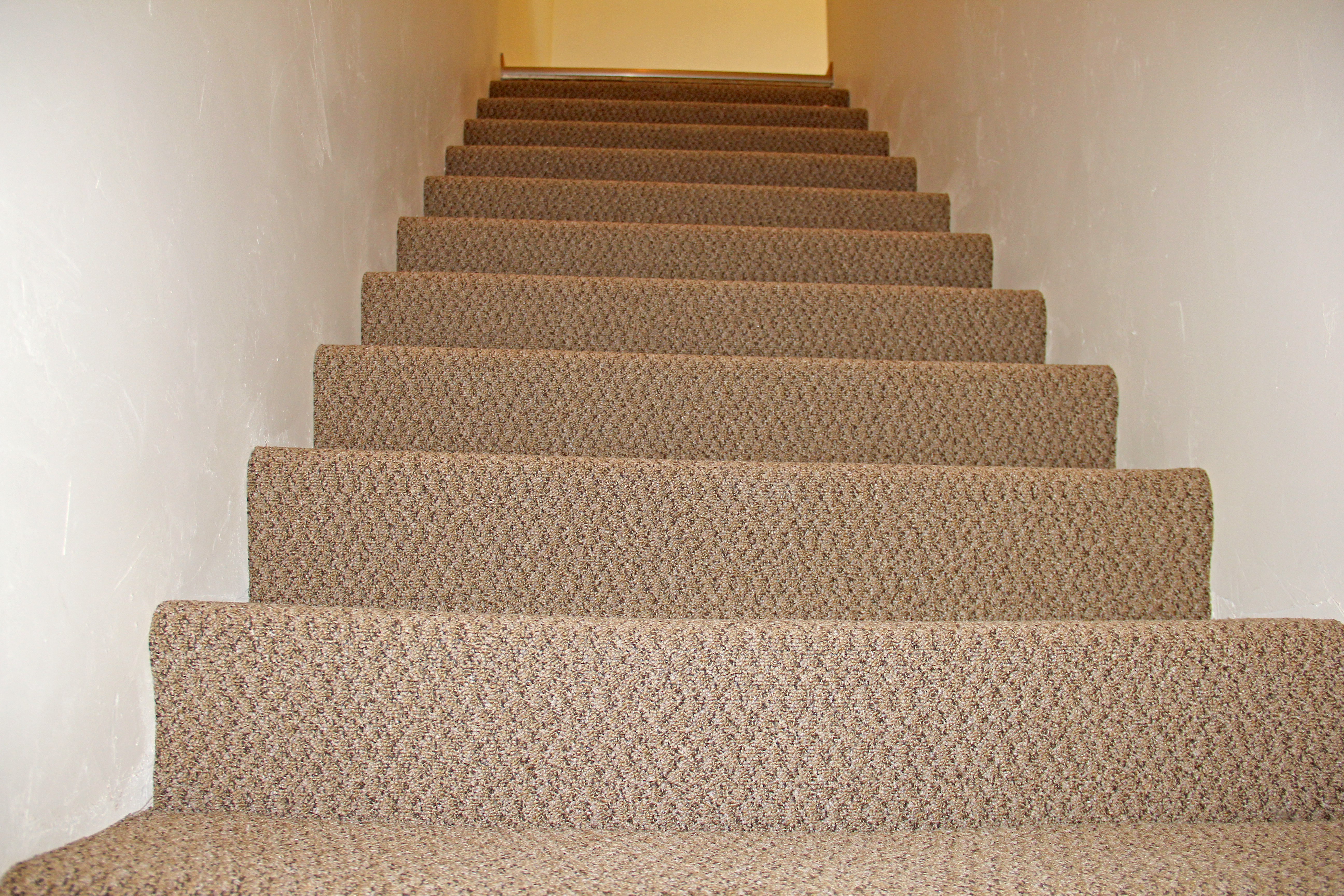 Case Study Image