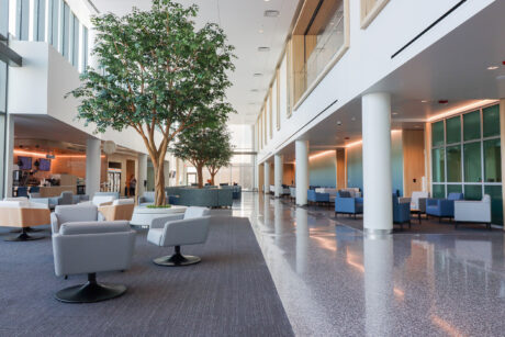 Healthcare Begins In The Surroundings